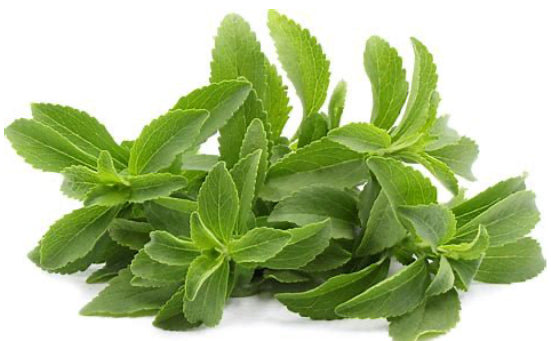 Stevia, Natures Natural Sugar